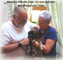 2021.06.22 Bandito Pilloelo Finn - Marga und Oskar
