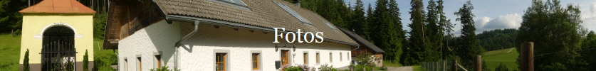 Fotos