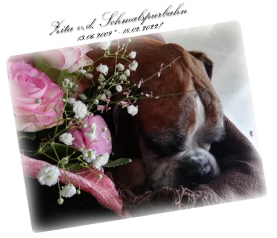 Zita  18.02.022-1